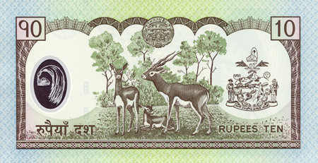 usd to nepali rupee